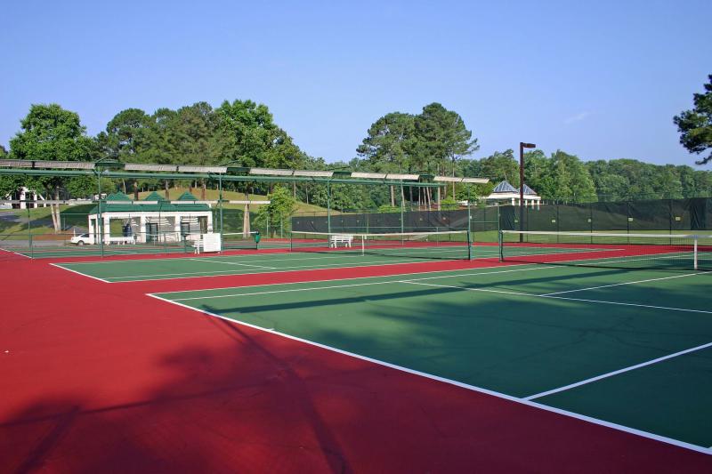 Een kunstgras tennisbaan in de of bij de vereniging